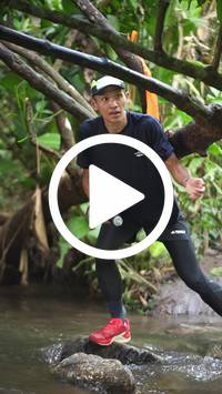 BIB:  <button type="button" onclick="openModal(27572342)" class="btn btn-primary btn-sm float-right" data-toggle="modal" data-target=".modal-high-quality">
                <i class="fa fa-download"></i> Download
                </button>